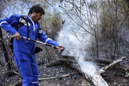 El presidente boliviano, Evo Morales, rocía agua durantes las operaciones de extinción de un incendio en las afueras de Robore (Bolivia). Morales, quien ha sido criticado por una supuesta respuesta lenta a los incendios forestales, emitió un decreto en julio que permite quemaduras controladas y limpieza de tierras, después de otorgar la amnistía el año pasado a las personas atrapadas quemando campos ilegalmente.