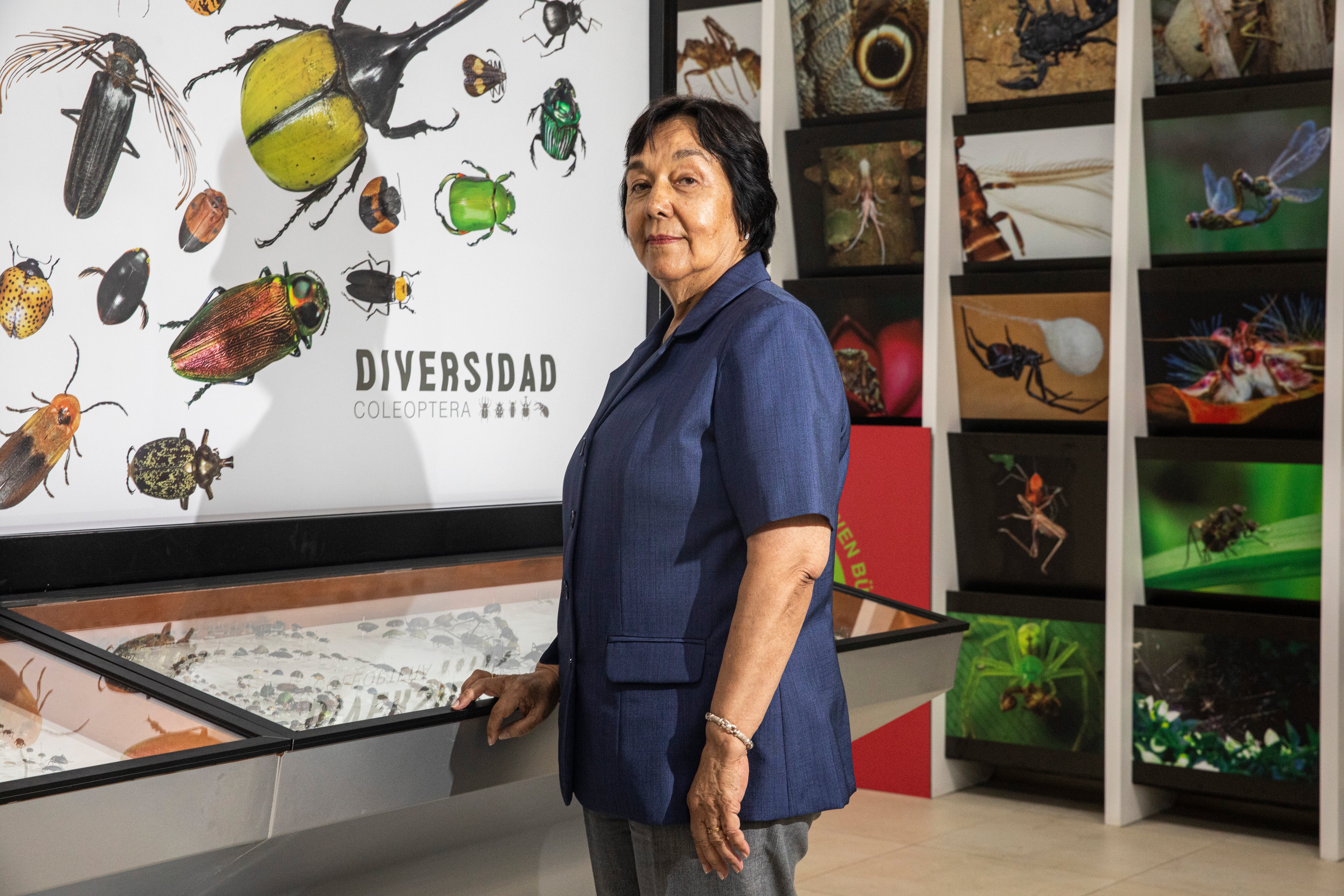 Clorinda Vergara Cobián, jefa del Museo de Entomología UNALM.
