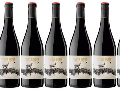 Payoya Negra 2016, visión de futuro