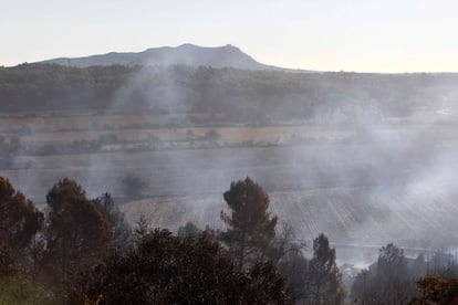 Las llamas han arrasado básicamente vegetación agrícola y forestal.