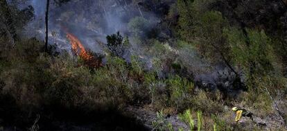 Las llamas brotan en algunos puntos en el incendio de Cortes de Pallás.