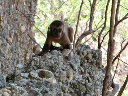 La expulsión del paraíso sigue en marcha