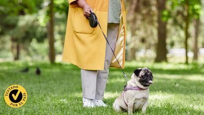 Probamos las mejores correas retráctiles para perros. GETTY IMAGES.