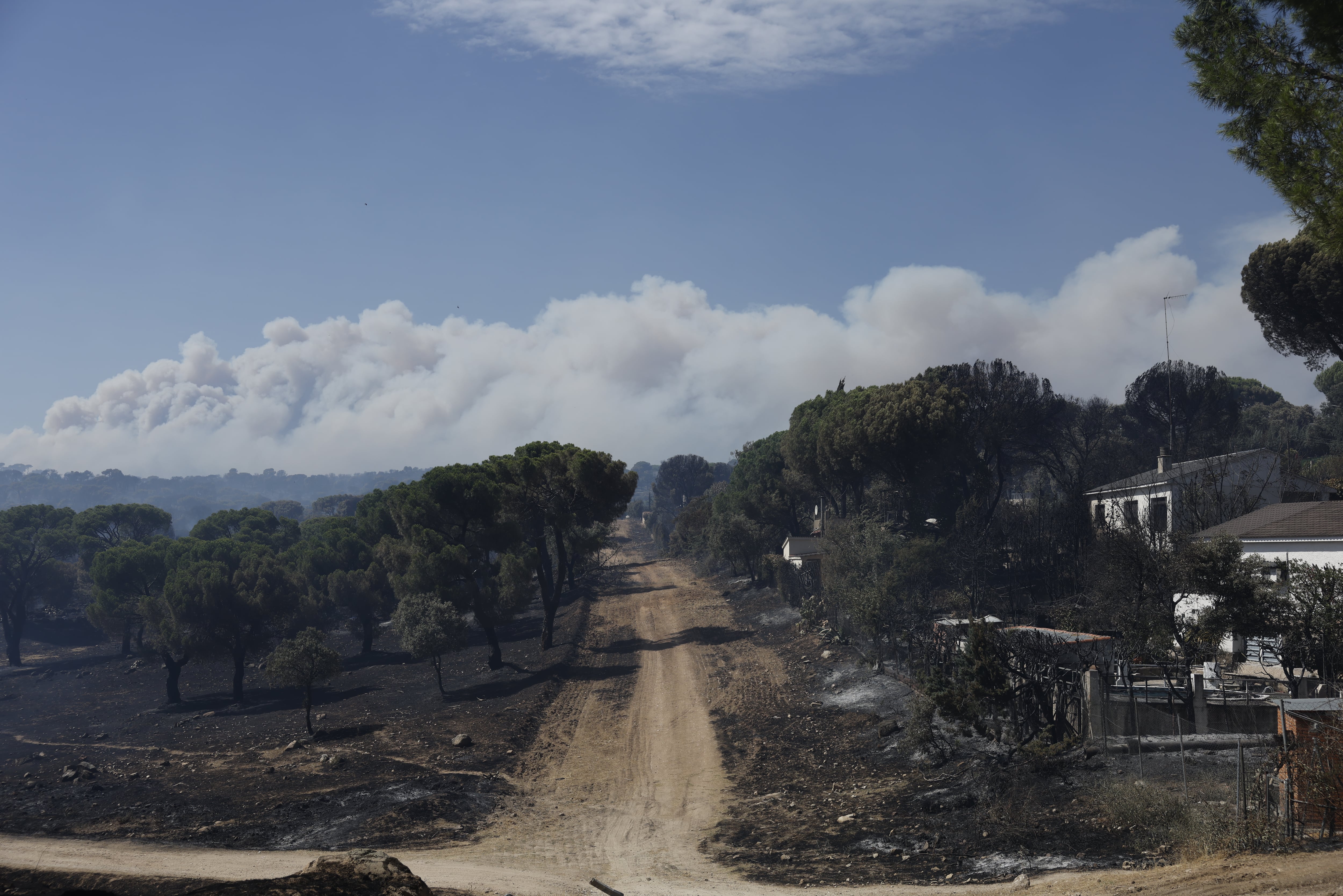 Vista de la zona afectada por el incedio forestal de Villa del Prado (Madrid). 