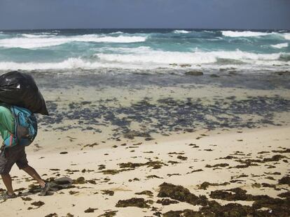 Un miembro de WWF recoge plástico en una de las playas vírgenes de la isla canaria de La Graciosa.