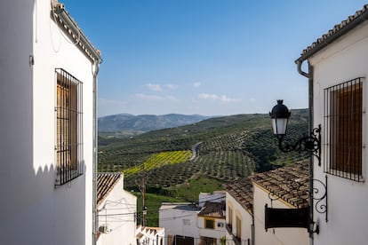 Baena Cordoba