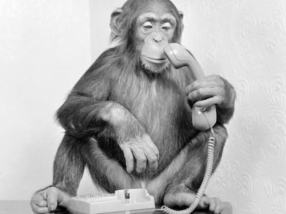 Cajas negras y sonámbulos: ¿sabemos lo que hay dentro de la tecnología?