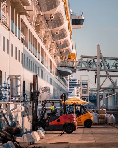 Un creuer al Port de Barcelona.