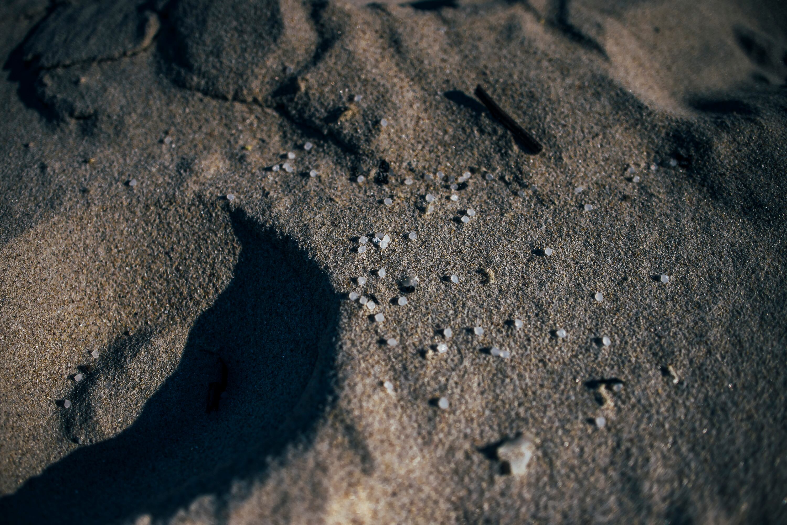 Bolitas de pellets para la fabricación de plásticos, procedentes de un contenedor que cayó al mar desde un barco, este domingo en la playa de Area Maior en Muros.