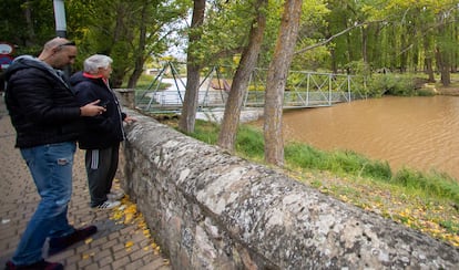 Un árbol caído sobre una de las pasarelas del río Duero, el pasado miércoles en Soria.