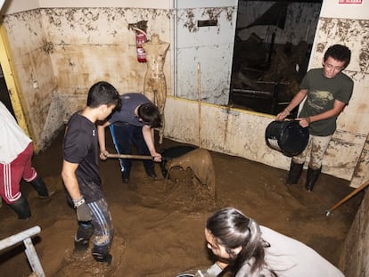 Un grupo de jóvenes lleva a cabo labores de limpieza en el auditorio de Guadamur (Toledo), este jueves.
