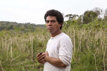 Raimundo López, campesino del PIP, de 43 años es padre de tres hijos y descendiente de un trabajador de la madera en Misiones. Posa frente a sus cultivos de mandioca.