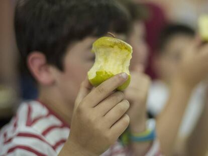 Un nen menja una poma en un menjador escolar.