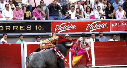 24 de abril de 2010 en la plaza de toros de Aguascalientes (México). El toro Navegante prende a José Tomás y le revienta el muslo izquierdo. “Como llave de agua abierta” , cuenta el subalterno Alejandro Prado que brotaba la sangre de José Tomás. La ilustración de la doble página anterior toma como punto de partida una fotografía actual de la cabeza disecada de Navegante.