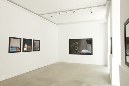 Sala de Alzueta Gallery con las fotografías de la serie ‘Las flores del mal’ de Anuca Aísa.