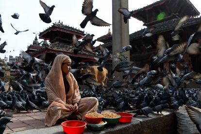 Una vendedora de comida de palomas espera a los clientes en una plaza de Katmandú (Nepal).