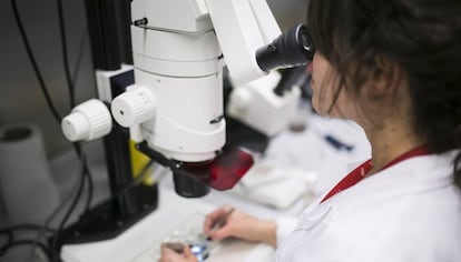 Un laboratorio del centro de investigaci&oacute;n Barcelona Biomedical Research Park.