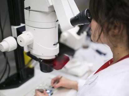 Un laboratorio del centro de investigaci&oacute;n Barcelona Biomedical Research Park.