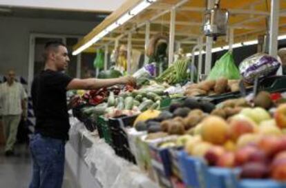 Puesto de frutas y verduras en un mercado. EFE/Archivo