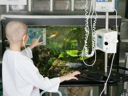 Un niño observa una pecera en la planta de oncología del hospital La Paz en Madrid.