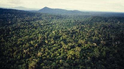 Vista aérea del Amazonas, en el norte de Brasil.