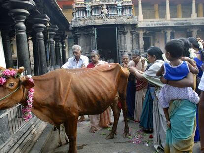 Una vaca paseando por una calle en India. 