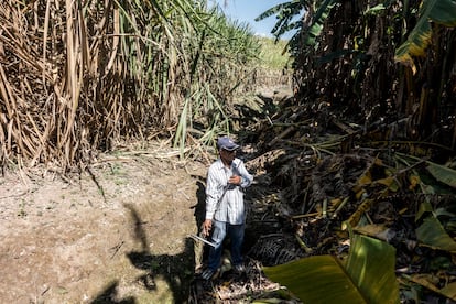 El activista Santiago Pérez, en una búsqueda de fosas clandestinas en Nayarit.