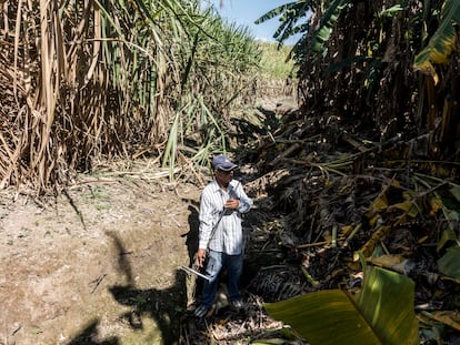 El activista Santiago Pérez, en una búsqueda de fosas clandestinas en Nayarit.