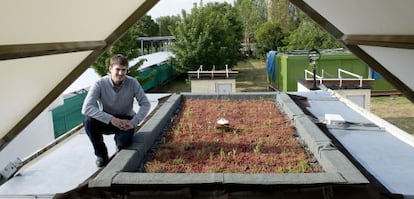 El ingeniero Aitor Erkoreka en una de las cubiertas vegetales instaladas para la investigación.