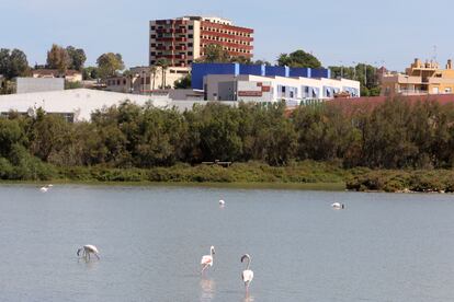 El hotel Rocas Blancas visto desde las  lagunas de Santa Pola.