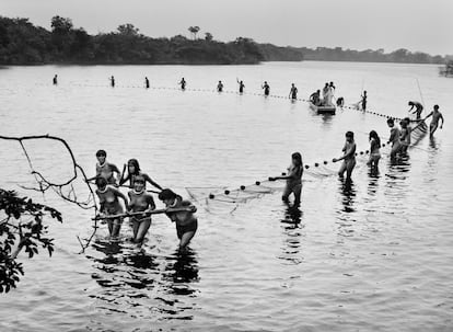 Kamayurás pull a fishing net in Lake Ipavu, during the preparations for the women's ceremony. Xingu indigenous land, State of Mato Grosso (Brazil), 2005.