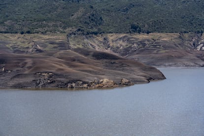 La línea de vegetación marca el bajo nivel del agua en el embalse de Chuza, en el parque nacional natural Chingaza, el 16 de abril del 2024.