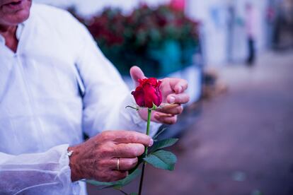 El empresario explica las cualidades de sus rosas. 
