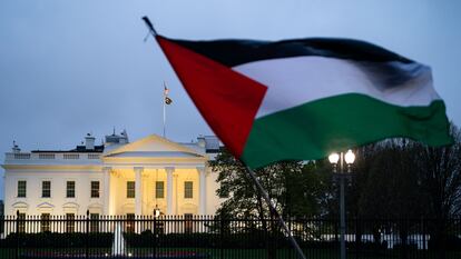 Protestas Palestina, Casa Blanca EE UU