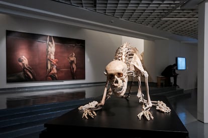 Parte de la exposición “La mirada del coleccionista”.