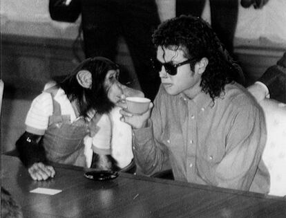 Michael Jackson llevó a Bubbles de gira por Japón. En la imagen, el chimpancé bebe de su misma taza de té en la visita del cantante al ayuntamiento de Osaka en septiembre de 1987.