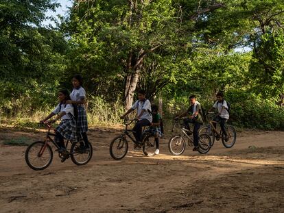 Varios niños se desplazan en bicicleta hacia la escuela desde Venezuela en Paraguachón (La Guajira), el 23 de noviembre de 2023.