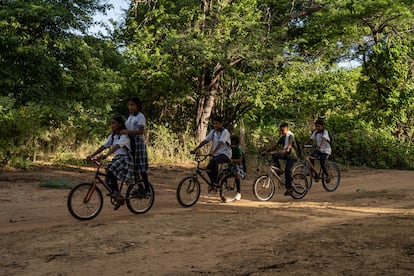 educacion en la guajira