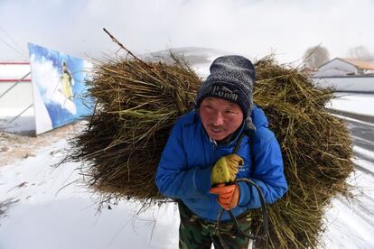 Un hombre con un montón de leña a su espalda camina por una carretera de un pueblo cerca de Zhangjiakou, en la provincia china de Hebei.