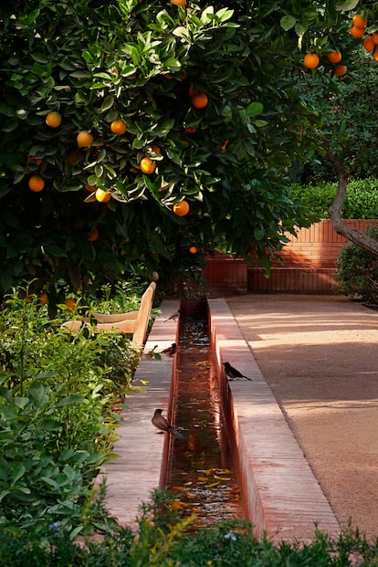 Los canales de agua son una de las características distintivas del jardín diseñado por Luis Vallejo. El frescor y la vegetación atraen a los pájaros. Su trinar se suma al ruido del agua.