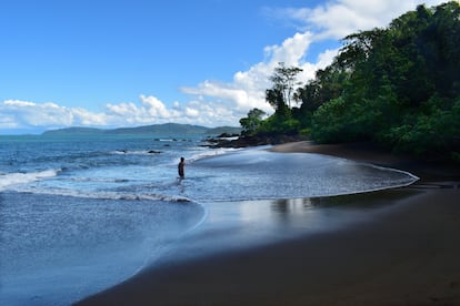 Un joven nada en una playa del Parque Nacional Corcovado, en Costa Rica, ubicado en una de las regiones más biodiversas del mundo.