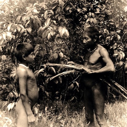 Un médico tradicional macuna recoge junto a un niño tallos de yagé ('Banisteriopsis caapi') en el río Popeyacá (Colombia, 1952)