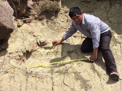 Marcial Barrientos, técnico de la Dirección de Turismo de Sucre, mide la huella más grande de un dinosaurio terópodo en Marca Quila Quila (Bolivia).