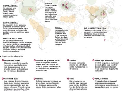 Ganadores y perdedores en el cambio climático