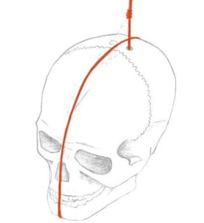 Recreación de la forma de colocar el cráneo