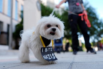 Un perro con un cartel que dice "yo muerdo nazis", en Florida.