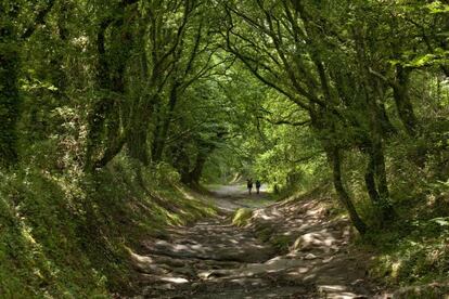 <b>Por ALEJANDRO REGO</b><p>Calzarse las botas, despedirse, tomar el tren a Francia y comenzar en Francia a caminar, ascender los Pirineos, descender los Pirineos, caminar entre las hayas como por una catedral, conocer nuevos amigos, caminar charlando junto a ellos, caminar otra vez solo, caminar entre viñedos, enamorarse de una chica, perderla en el camino, caminar por un sendero que apunta al infinito, luchar contra uno mismo, contra el cansancio, contra el amor, contra el hastío; cruzar Castilla bajo el sol: Burgos, Tierra de Campos, y después, León. Caminar y caminar, y de pronto encontrar de nuevo a la mujer amada: caminar con ella por Galicia, caminar bajo la lluvia, por bosques de robles y castaños; caminar envueltos, como sombras, en la bruma, y tras un mes caminando, dejar de caminar. Y parado, contemplar las torres de la catedral, la tierra prometida, el final de la odisea, y decir adiós a peregrinos, y decir adiós a un amor al que ya no se volverá a ver: esto es el Camino; quien lo acabó, lo sabe.