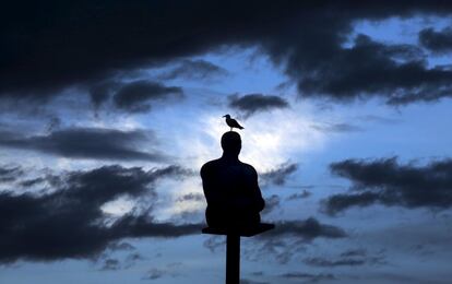 Una gaviota se posa sobre una escultura del artista español Jaume Plensa al atardecer en la localidad francesa de Massena.