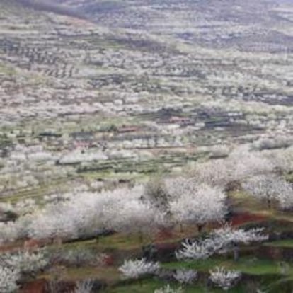 El valle del Jerte, un tesoro natural y cultural