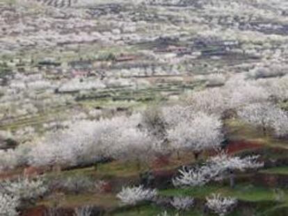 El valle del Jerte, un tesoro natural y cultural